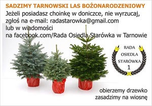 Drugie życie choinki Drugie życie choinki