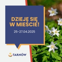 Dzieje się w mieście