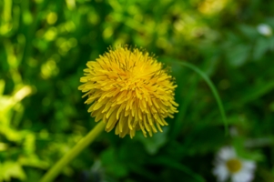 foto pexels.com