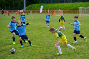 Mała Liga Mistrzów