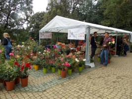 Jesienny Piknik w Parku Sanguszków