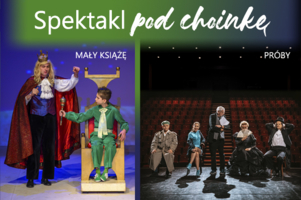 grafika Teatr im. L. Solskiego