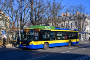 Autobus