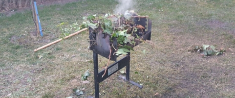 Odpady zielone palone w grillu