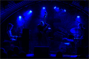 Koncert jazzowy: Kasia Pietrzko Trio