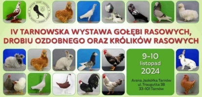 plakat wydarzenia