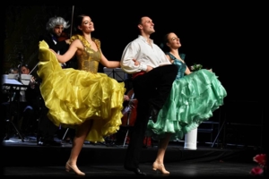 Johann Strauss Gala