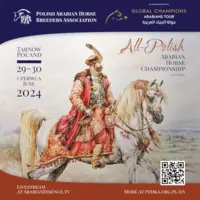 Plakat All-Polish Arabian Horse Championship