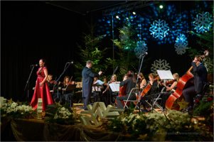 Koncert świąteczno - noworoczny stowarzyszenia ,,Via Musica"