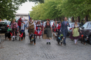 parada berneńczyków "XII Tarnowski Zjazd Berneńczyków Tarnów w Tricolorze"