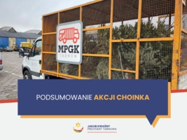 grafika - Akcja Choinka