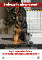 na zdjęciu piesek oraz przestroga przed dawaniem zwierząt pod choinkę