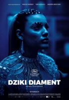 plakat filmu Dziki Diament