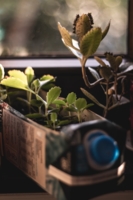 upcycling