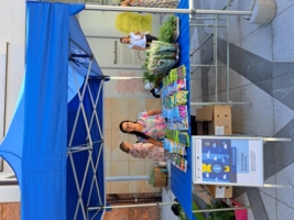 Akcja Roślinka za baterię