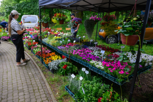Piknik Ogrodniczy – Park Sanguszków
