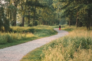 kleszcze