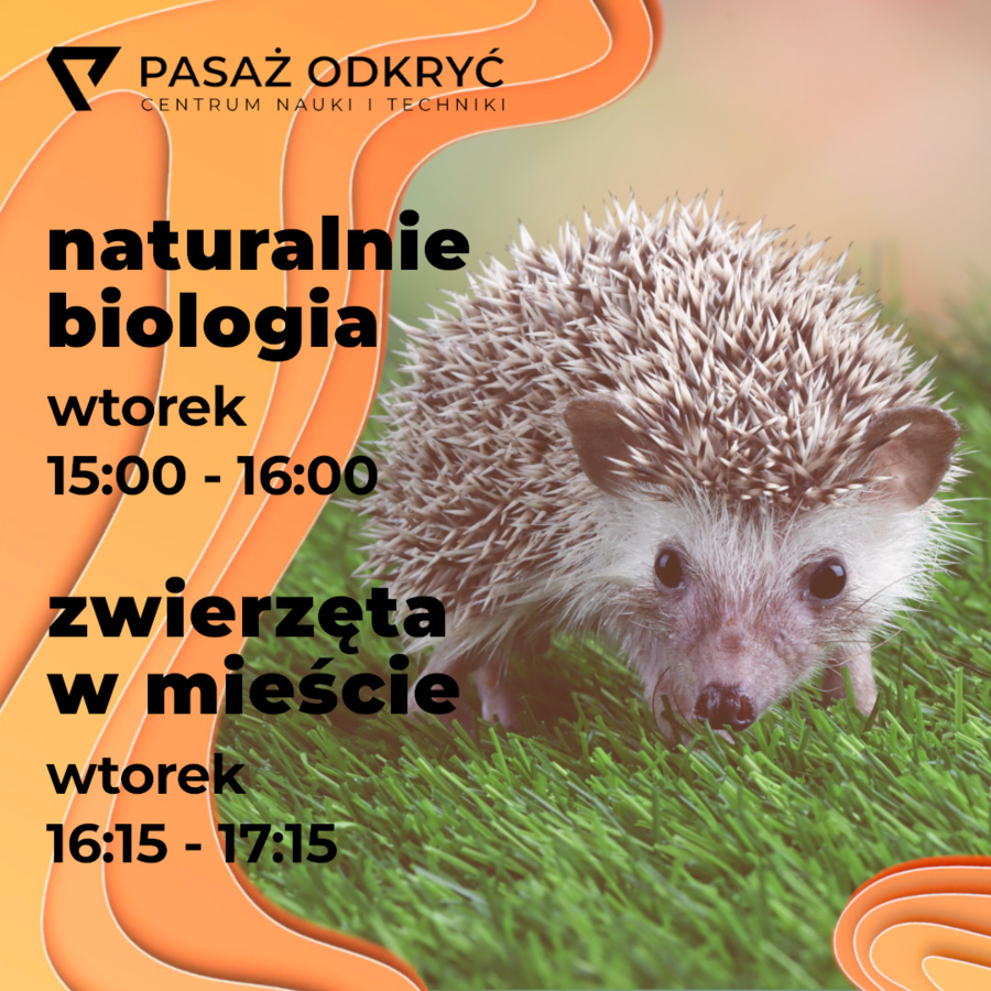 Plakat zajęć przyrodniczych w Pasażu Odkryć