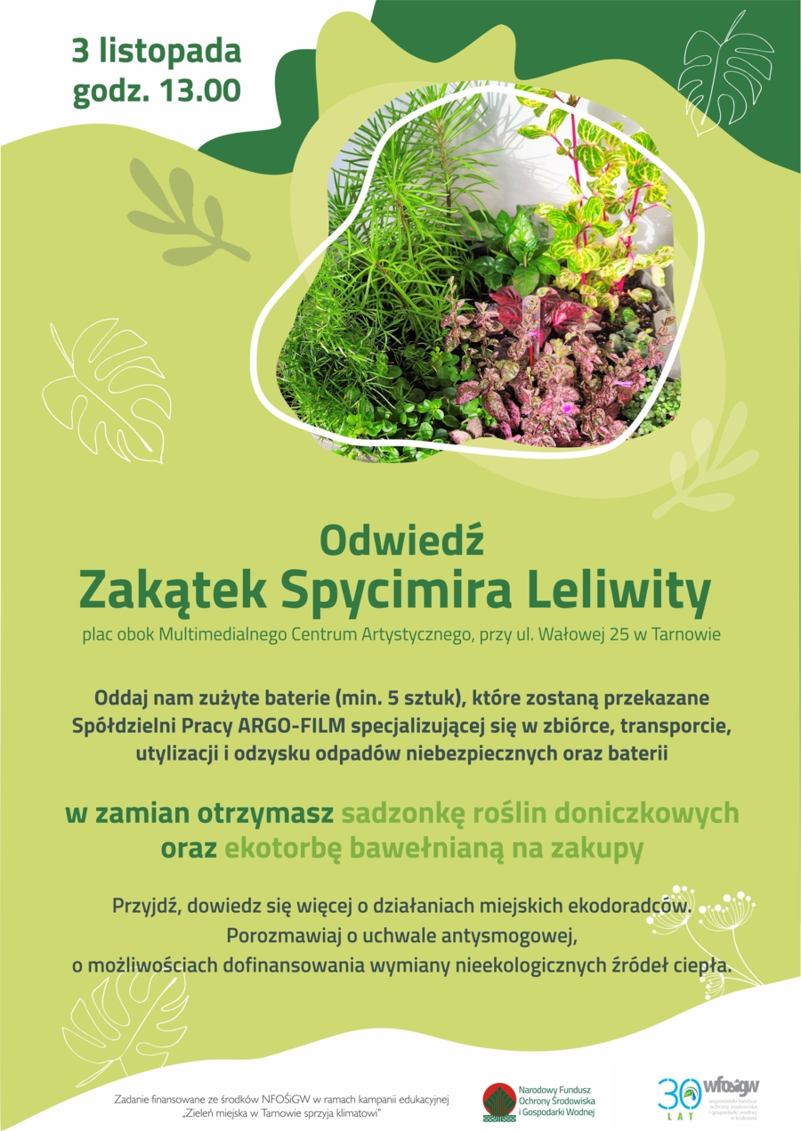 roślinki
