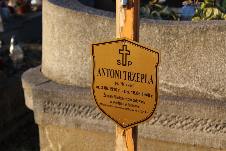 Tabliczka na grobie Antoniego Trzepli