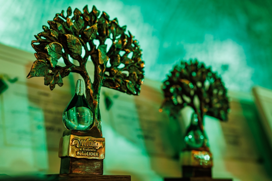 Statuetka #ekoLIDERA