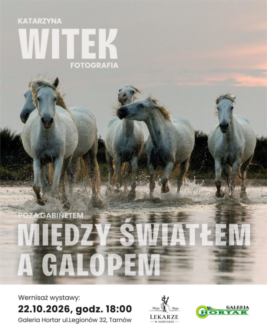Plakat wystawy fotografii Katarzyny Witek